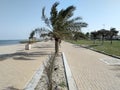 Long Beach and Garden in The Winter Season in Kuwait Country