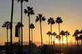 Long Beach golden sunset Royalty Free Stock Photo