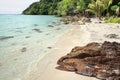 Tropical sandy beach on the Koh Chang island, Thailand. Royalty Free Stock Photo