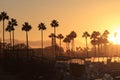 Long Beach sunset Royalty Free Stock Photo