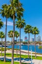 Peeking through palms at the Long Beach waterfront with skyline and harbor, CA Royalty Free Stock Photo