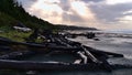 Long Beach at the wild Pacific coast near Tofino on Vancouver Island, Canada with driftwood in front and dramatic sky. Royalty Free Stock Photo