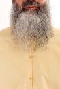 Long beard, facial hair Royalty Free Stock Photo