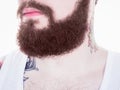 Long beard and mustache man Royalty Free Stock Photo