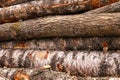 Long birch trunks birch linden bark coarse brown white wall stack of trees base design