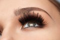 Long Black Eyelashes. Closeup Beautiful Female Eye With Makeup Royalty Free Stock Photo