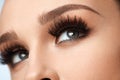 Long Black Eyelashes. Closeup Beautiful Female Eyes With Makeup Royalty Free Stock Photo