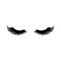 Long black lashes vector illustration. Beautiful Eyelashes isolated on white Royalty Free Stock Photo