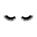 Long black lashes vector illustration. Beautiful Eyelashes isolated on white Royalty Free Stock Photo