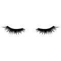 Long black lashes vector illustration. Beautiful Eyelashes isolated on white Royalty Free Stock Photo