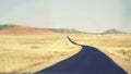 Long black road on a yellow bush desert