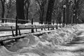 Black and White Row of Snow Covered Benches on the Central Park Literary Walk and Mall in New York City during Winter Royalty Free Stock Photo