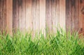 long blades of green grass over wood wall Royalty Free Stock Photo
