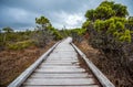 Long Boardwalk Through Marsh