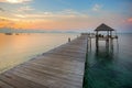 The long boardwalks to the sea