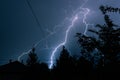 Trees silhouette against bright lightning in the background