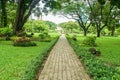 Long brick walkway along with tall big trees in public park Royalty Free Stock Photo