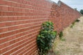 Long Brick Wall With Shrub Royalty Free Stock Photo