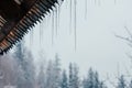 Winter mountain rural landscape icicles