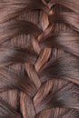 Long Brown Hair Braid. Back View. Royalty Free Stock Photo