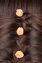 Long Brown Hair Braid. Back View. Royalty Free Stock Photo
