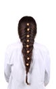 Long Brown Hair Braid. Back View. Royalty Free Stock Photo