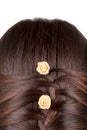 Long Brown Hair Braid. Royalty Free Stock Photo