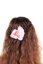 Long Brown Hair Braid with flower. Royalty Free Stock Photo