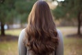 Long Brown Hair, Rear View