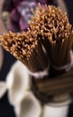 Long brown and one-piece pasta. Closed brown pasta from close and standing view.