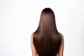 Long Brown Straight Hair , Rear View On White Background