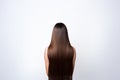Long Brown Straight Hair , Rear View On White Background