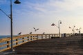 A long brown wooden pier with seagulls standing and in flight on the pier with American flags flying from curved light posts Royalty Free Stock Photo