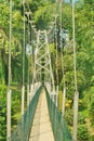 Long cable-stayed walkway bridge