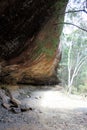 The Long Cave at Dunns Creek Swamp