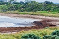 Long clean beaches and ferry to Penguin Island on the coast of Shoalwater Bay