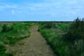 Long coastal walk / path near the beach, Blakeney Point, Norfolk, United Kingdom