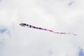 Long colorful kite