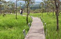 Long concrete curve pathway crossing meadow in topical forest