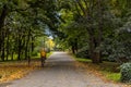 Long concrete path in Citadel park with trees and lamps around and biker with yellow hoodie