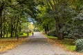 Long concrete path in Citadel park with trees and lamps around and biker with yellow hoodie