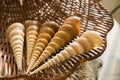 Long conic Marine shells over straw basket Royalty Free Stock Photo