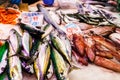 Long counter with various fish and shellfish in market. Barcelona.