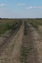 dirt road, with dry grass and green, leads into the distance, against the blue sky with white clouds