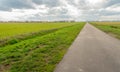 Long country road in a rural landscape Royalty Free Stock Photo