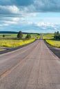 Long countryside road of US, vertical view Royalty Free Stock Photo