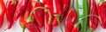 Long culinary food banner. Ripe fresh organic red and green hot peppers on white stone marble Royalty Free Stock Photo