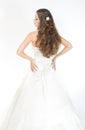 Long curly hair. Bride hairstyle. Back view Royalty Free Stock Photo