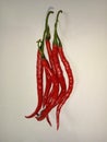 long curly red chili, delicious spicy Royalty Free Stock Photo