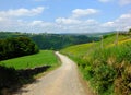 Long curved cobbled stone stone road running downhill in beautiful yorkshire dales countryside with green summer meadows Royalty Free Stock Photo